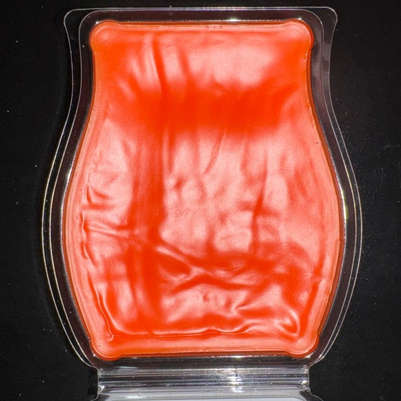 Scentsy Feelin’ Punchy Wax Bar - Picture 4 of 4